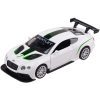 Bentley Continental GT3 (Wit) (10 cm) 1/43 Absolute Motors Supercars